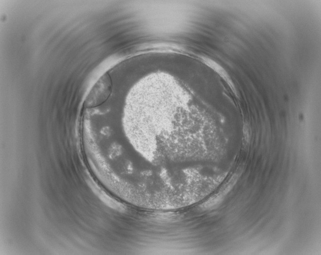 X0000059851482200511181526