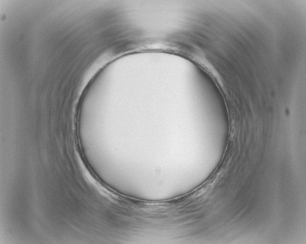 X0000059851483200511181526