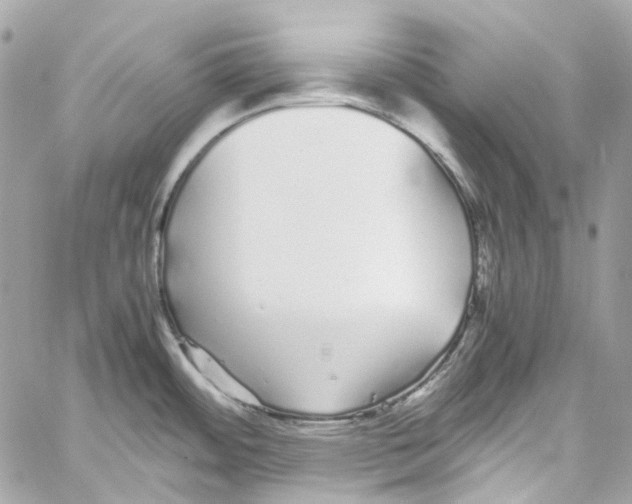 X0000059851484200511181526