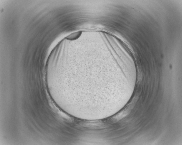 X0000059851486200511181526