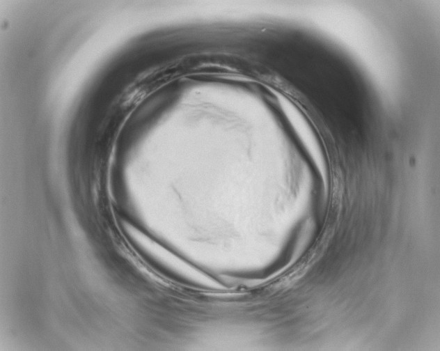 X0000059851487200511181526