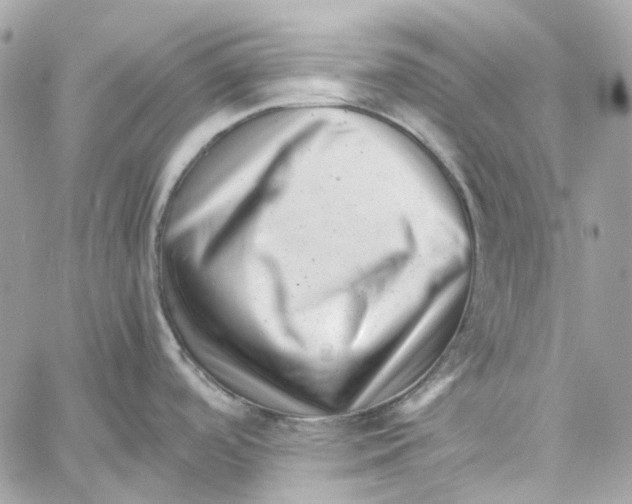 X0000059851488200511181526