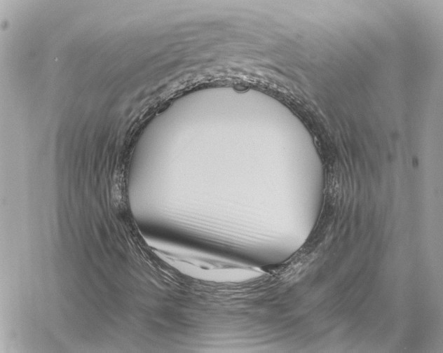 X0000059851490200511181525