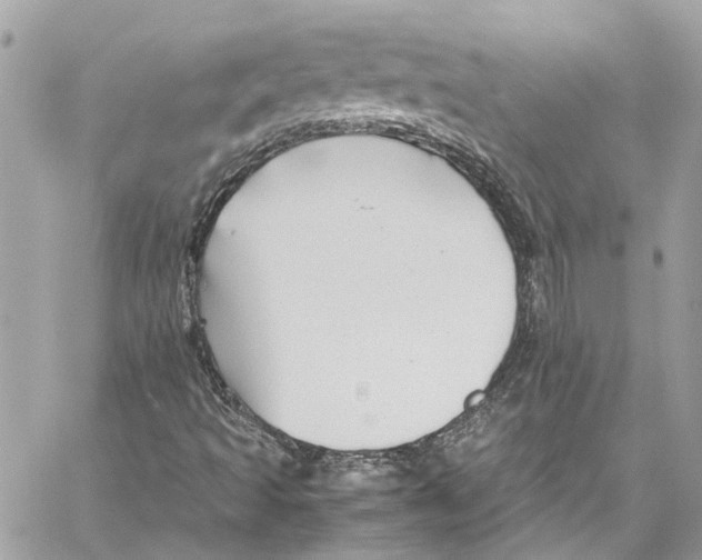 X0000059851493200511181525