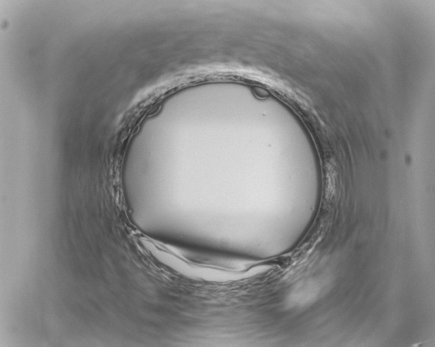 X0000059851494200511181525