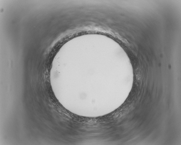 X0000059851495200511181525