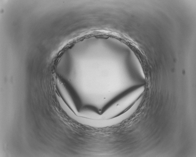 X0000059851496200511181525