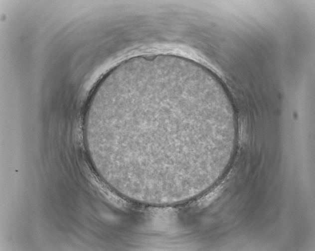 X0000059851498200511181525