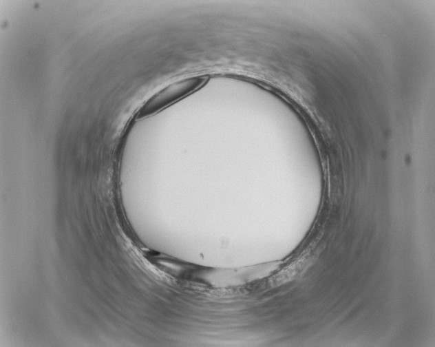 X0000059851500200511181525