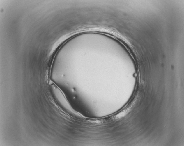 X0000059851501200511181525