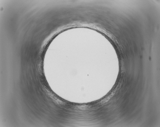 X0000059851502200511181525