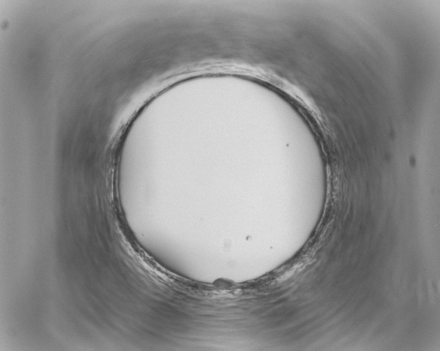 X0000059851504200511181525