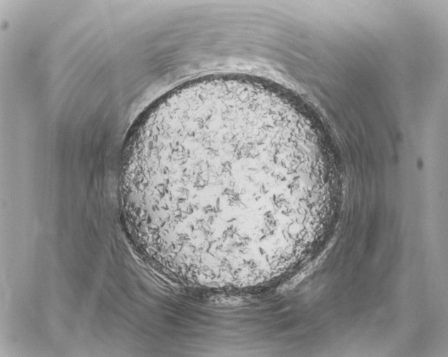 X0000059851505200511181525