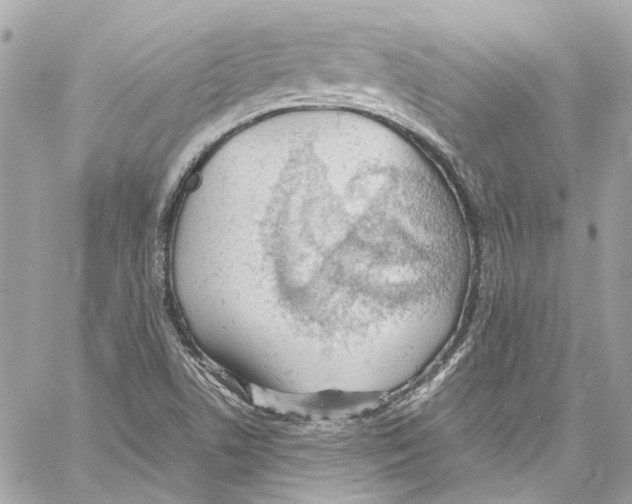 X0000059851506200511181525