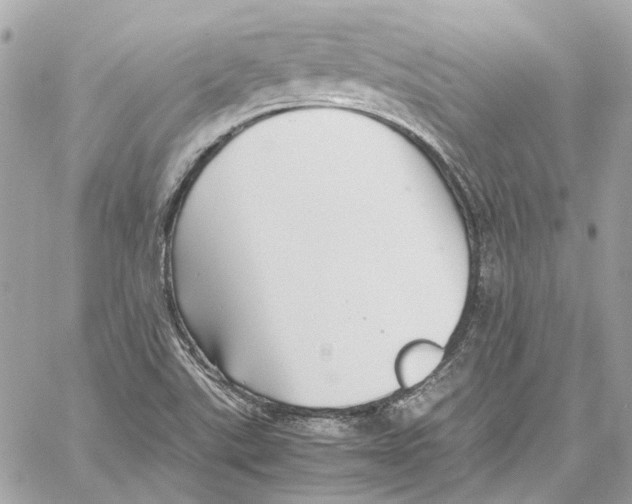 X0000059851507200511181525