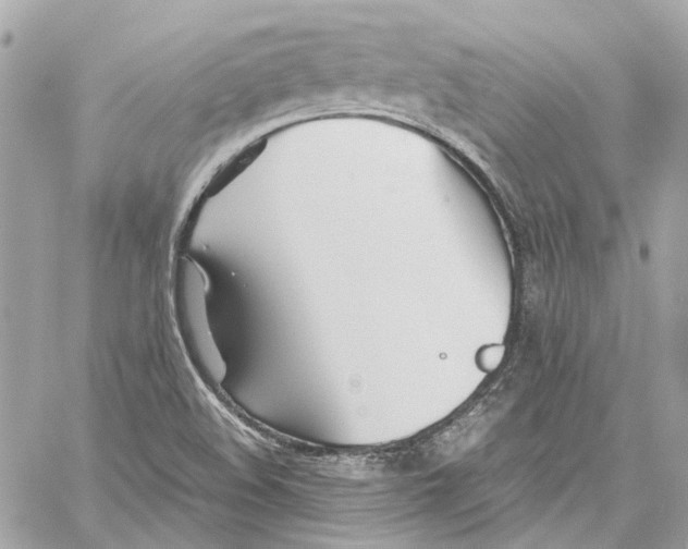 X0000059851508200511181525