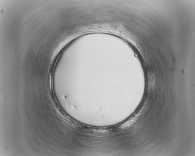 X0000059851509200511181525