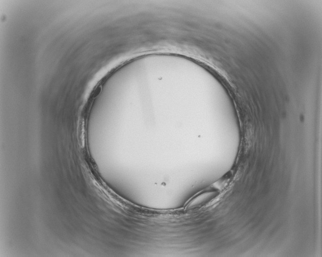 X0000059851510200511181525