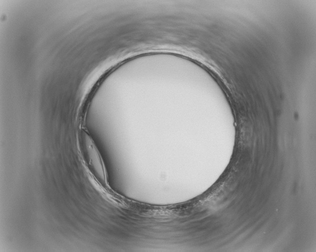 X0000059851511200511181525