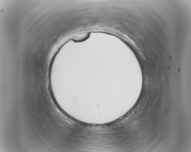 X0000059851512200511181525