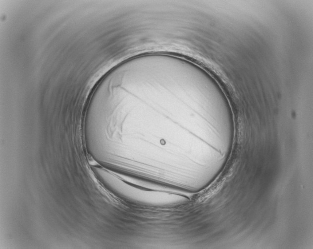 X0000059851513200511181525