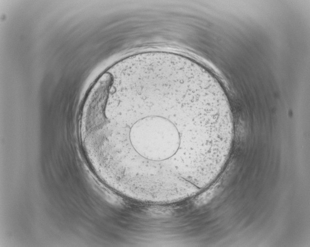 X0000059851514200511181525