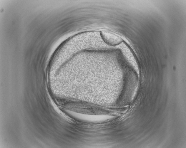 X0000059851515200511181525