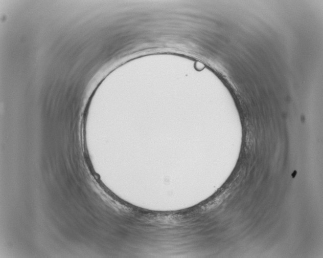 X0000059851516200511181525