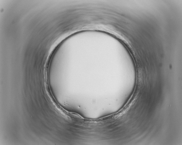 X0000059851517200511181525