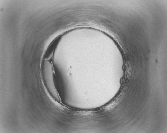 X0000059851519200511181525