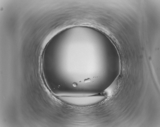 X0000059851520200511181525