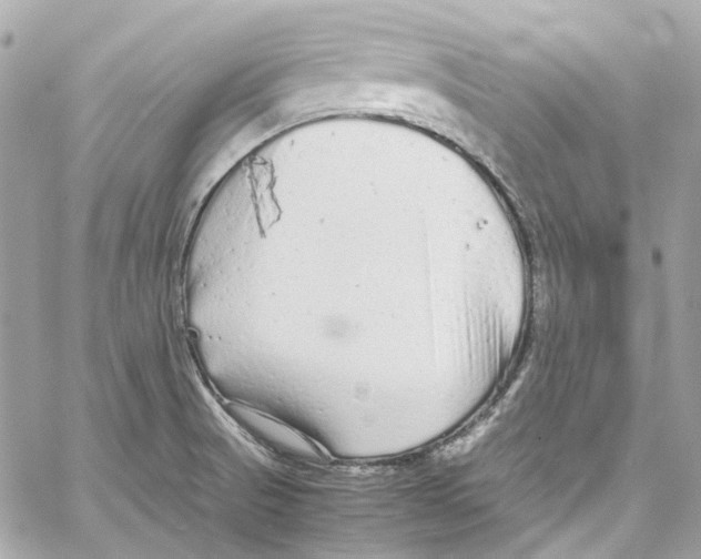 X0000059851521200511181525