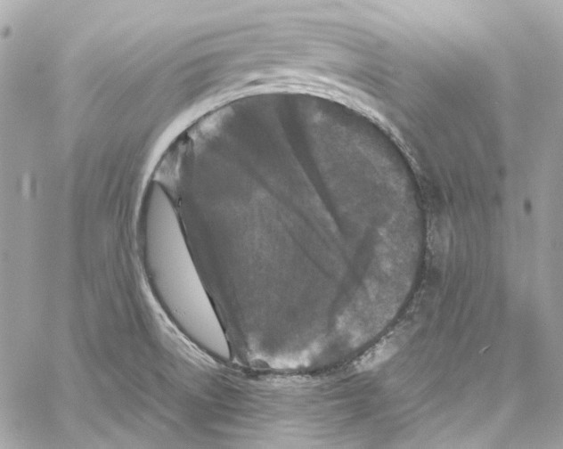 X0000059851522200511181525