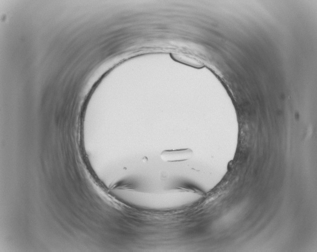 X0000059851523200511181525