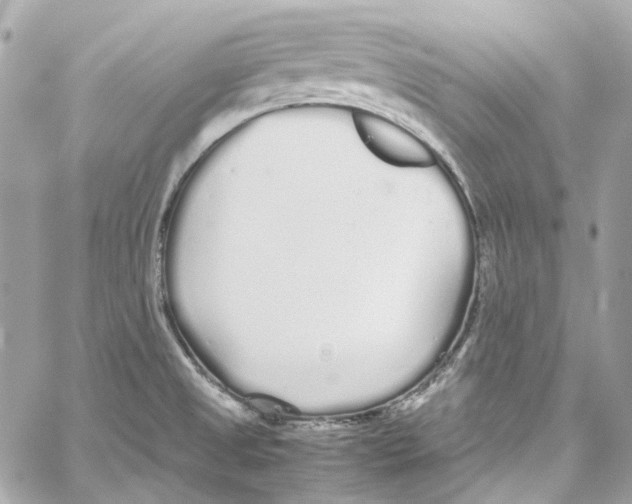 X0000059851525200511181525