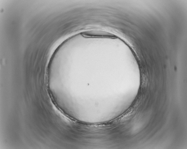 X0000059851527200511181525