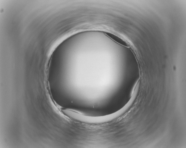 X0000059851528200511181525