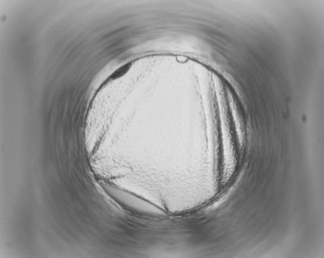 X0000059851529200511181525