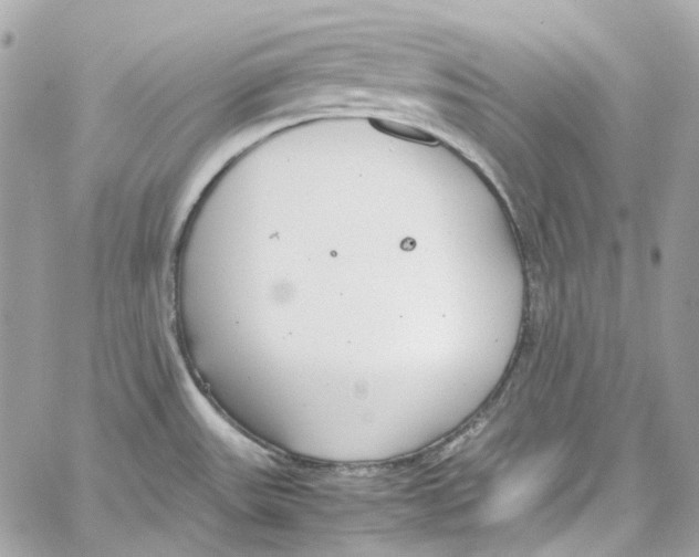 X0000059851531200511181525