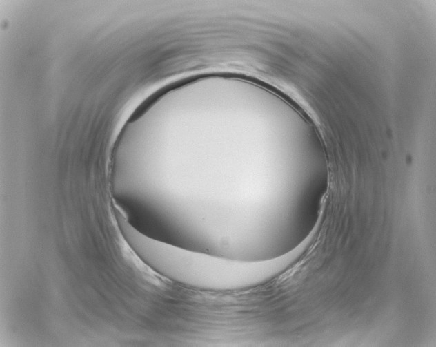 X0000059851532200511181525