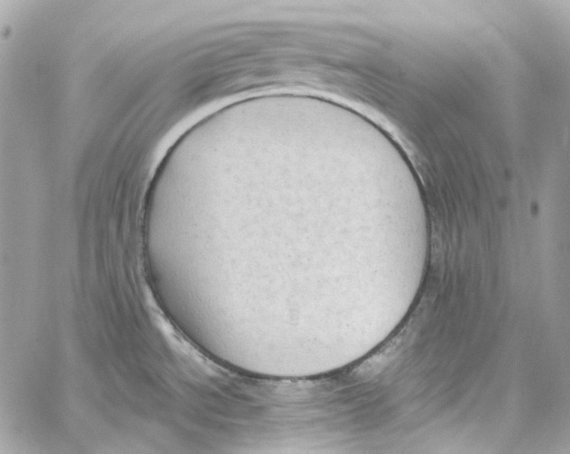 X0000059851534200511181526