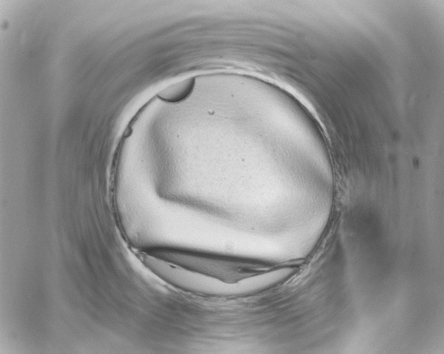 X0000059851535200511181526