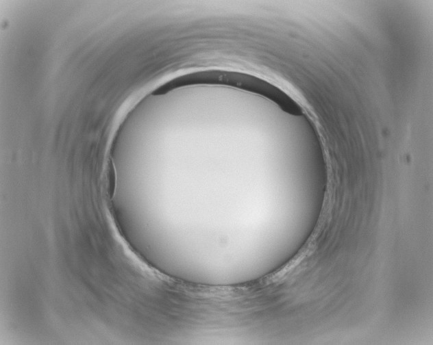 X0000059851536200511181526