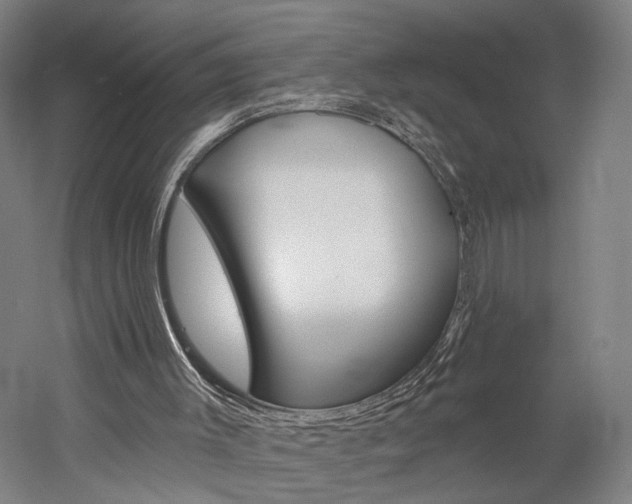 X0000060220003200510280923