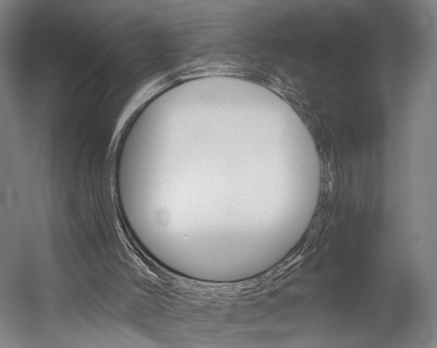X0000060220004200510280923