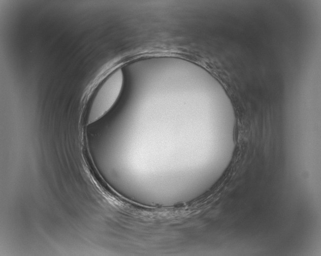X0000060220005200510280923