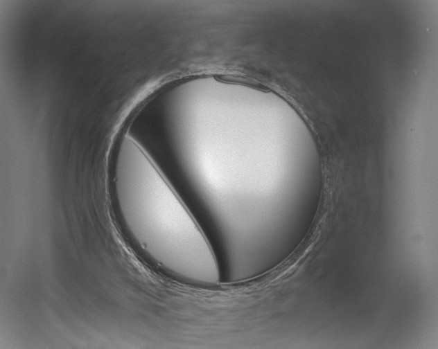X0000060220008200510280923
