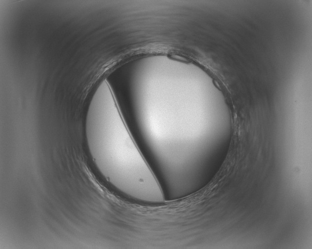 X0000060220013200510280923