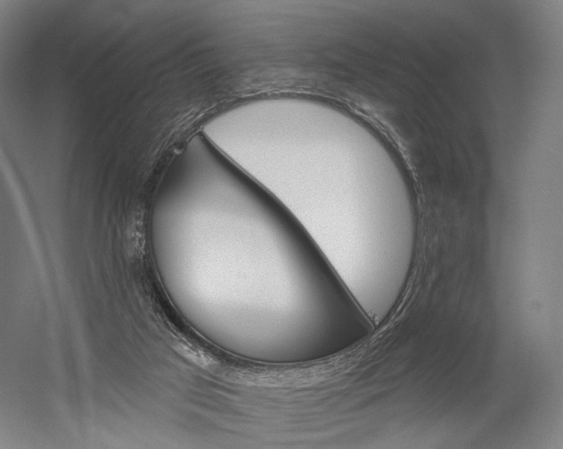 X0000060220017200510280923