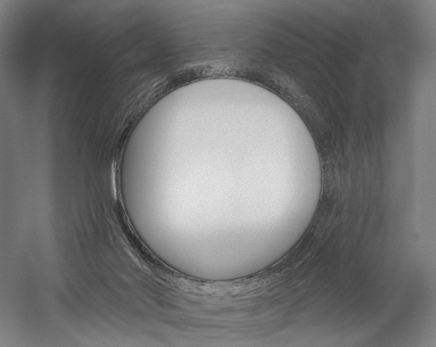 X0000060220022200510280923